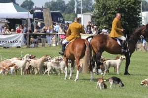 Parade of Hounds