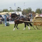 thameshow (17)
