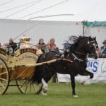 thameshow (19)