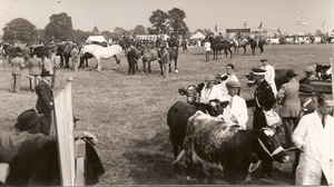 vintage-thameshow-3