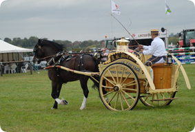 thameshow-attractions